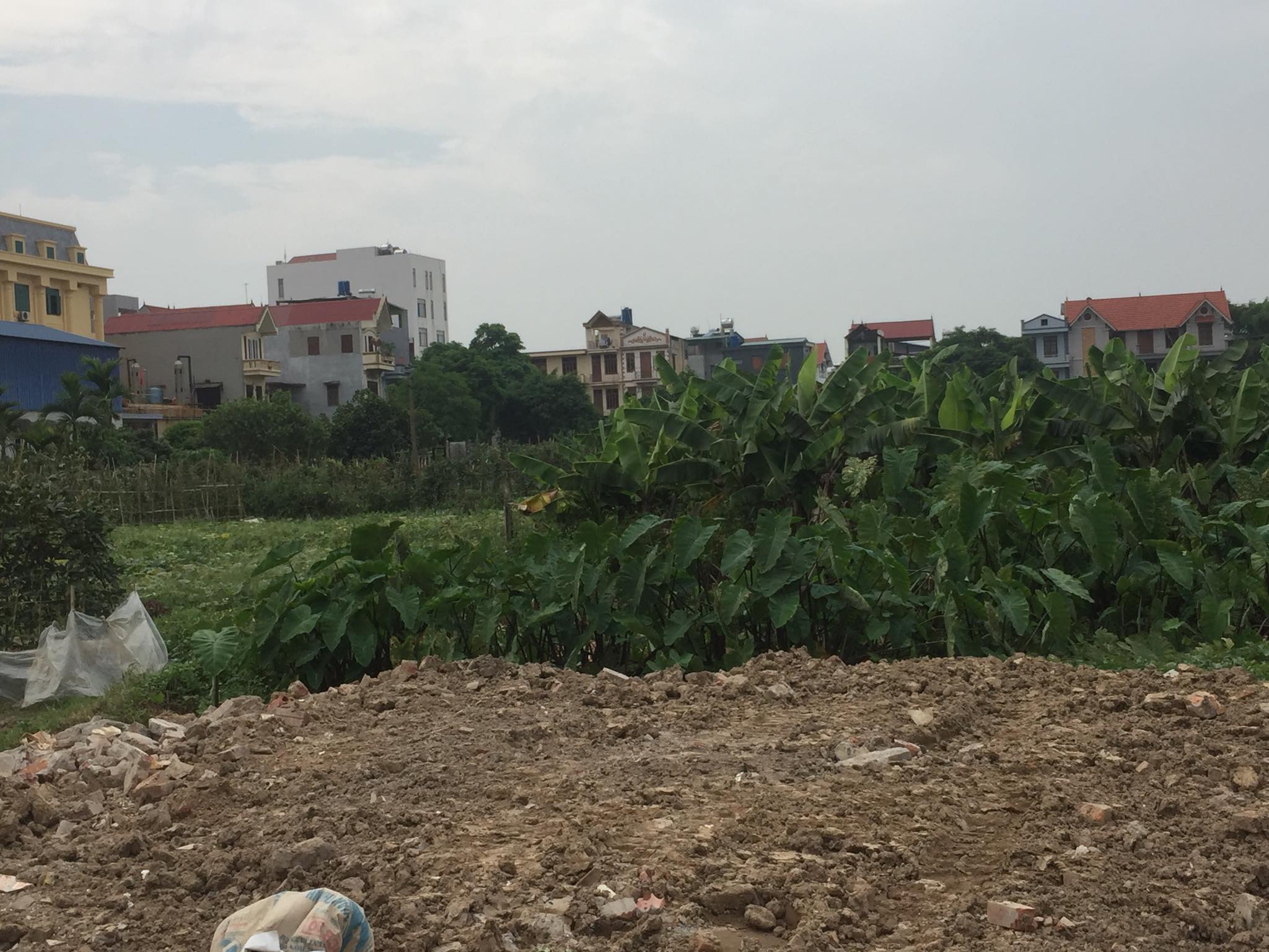 Đầu tư xây dựng cơ bản, quản lý đất đai là hai lĩnh vực được ngành Thanh tra tỉnh Bắc Giang tiến hành thanh tra trong Quý I/2020. (Ảnh minh họa, nguồn: Minh Nguyệt)